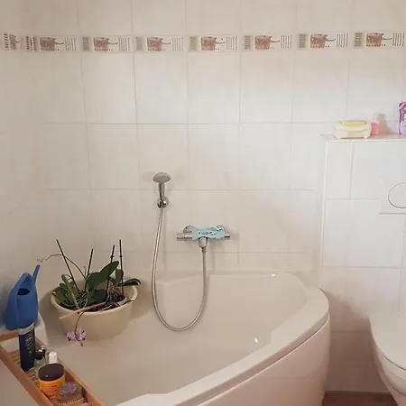 Ferien-bungalow 
